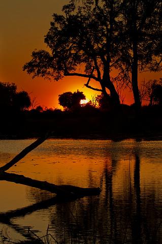 170 Okavango Delta.jpg